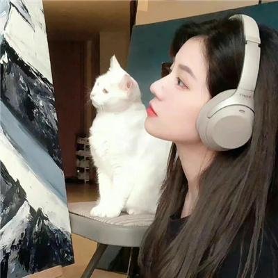 谜样的情人